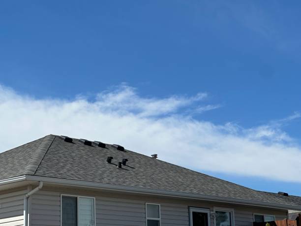 Professional Roof Repair & Installaion in Nekoosa, WI